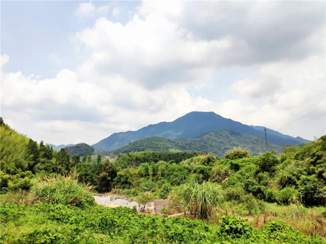 呼吸鮮氧，踐行公益——廣東博皓公益活動：星溪線公益環(huán)保活動   -6