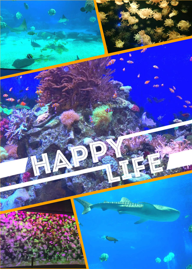 廣東博皓親子游:珠海長隆海洋王國,探索海洋生物的奧秘,奇妙的動物世界