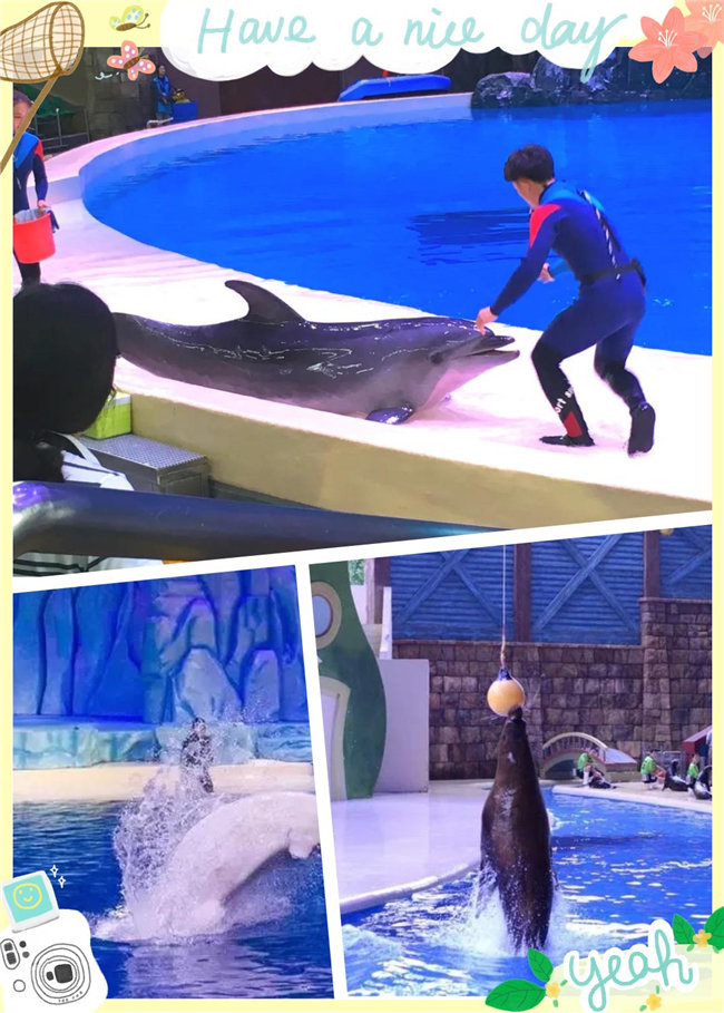 廣東博皓親子游:珠海長隆海洋王國,探索海洋生物的奧秘,劇場表演