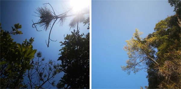 廣東博皓 博行天下丨虎年第一爬,挑戰從化老虎頭 -1