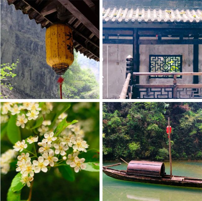 2023廣東博皓重慶游 -9