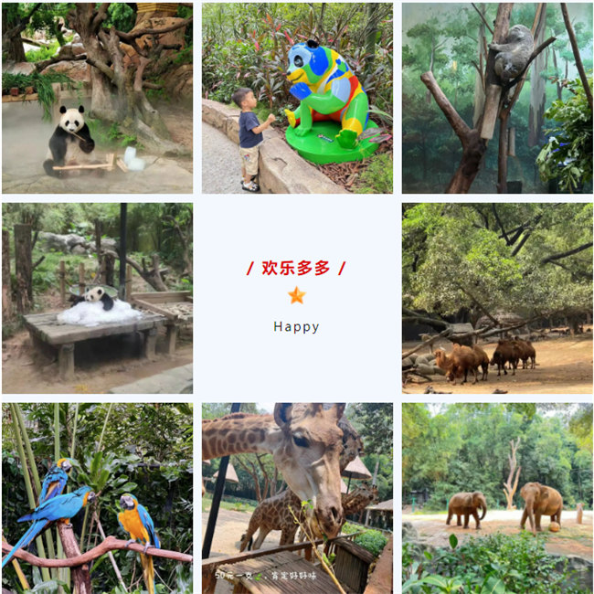 大手牽小手，快樂親子游！廣東博皓2023年親子游活動        -8