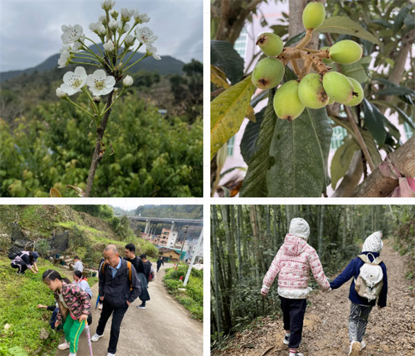 凝心聚力再出發，風雨同舟赴星溪！--廣東博皓2024龍年首登星溪之旅     -4