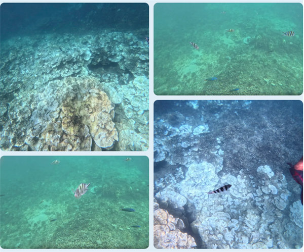 風雨兼程二十載,馬來之旅續新篇——2024年博皓沙巴風情之旅 -6