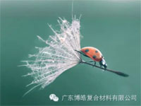 【博皓感悟】成功，要“借力”，不要“盡力”